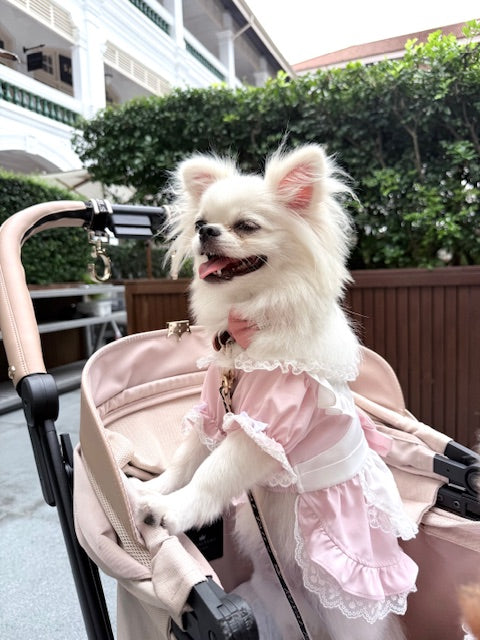 Pink Alice Lace Dress