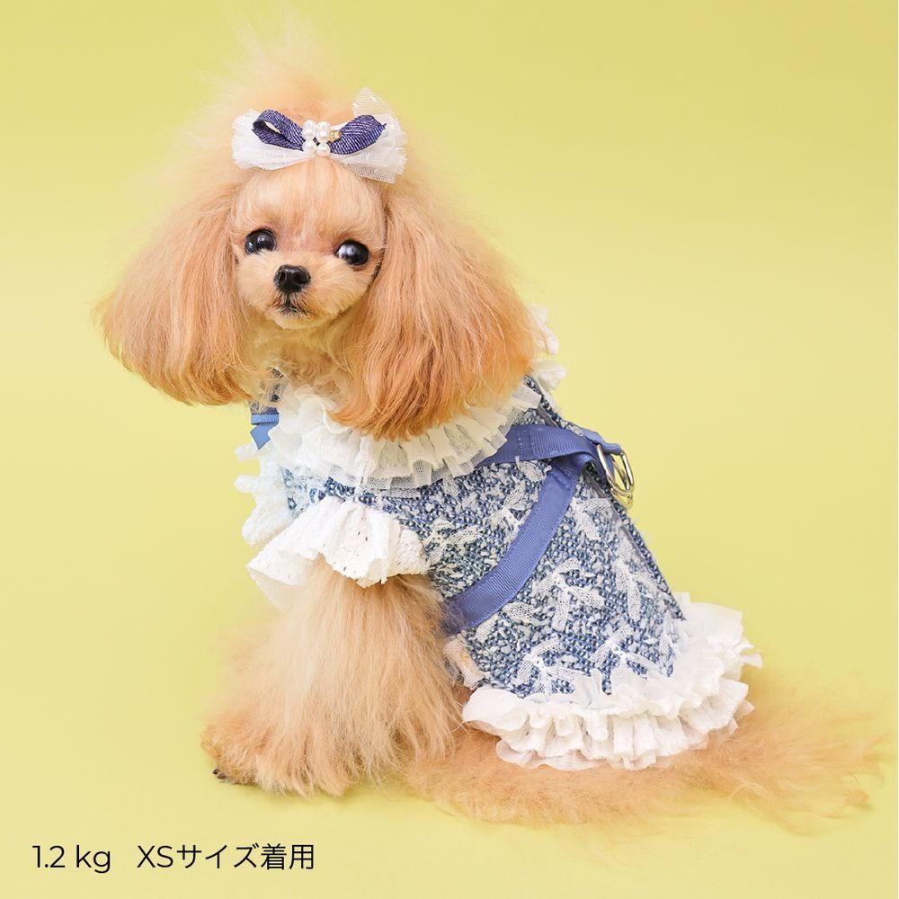 Nocturne Blue — Cool Denim Harness Dress