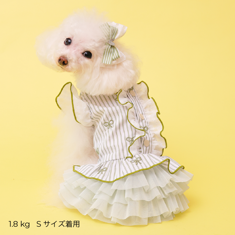 Striped Ribbon Frill Dress