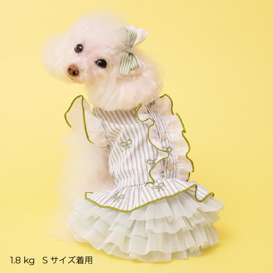 Striped Ribbon Frill Dress