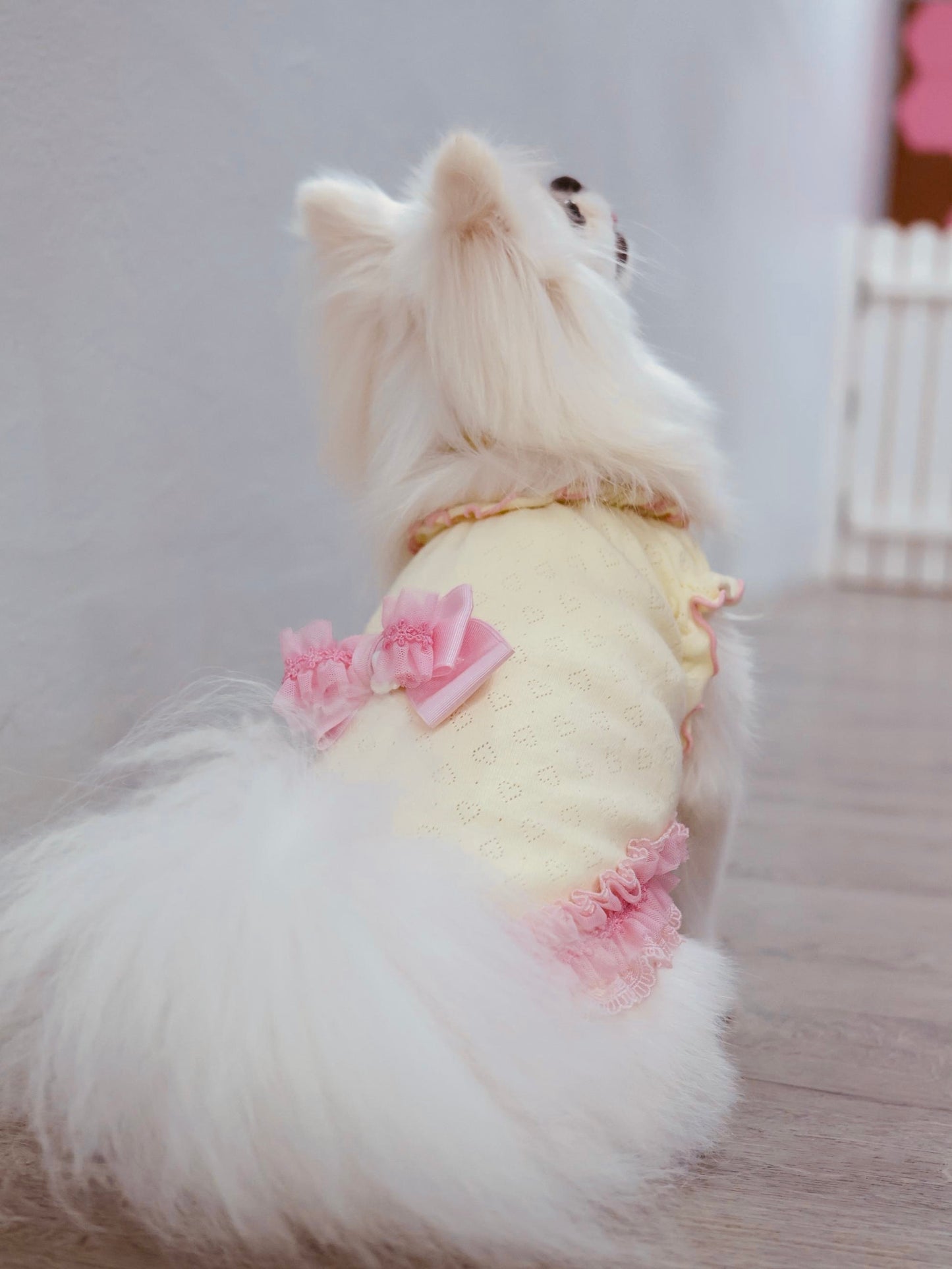 Heart Mesh Frill Cut-and-Sew Dog Dress