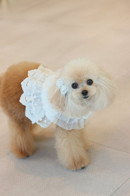 Pure Cancan Harness