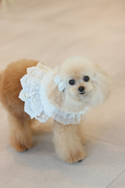 Pure Cancan Harness