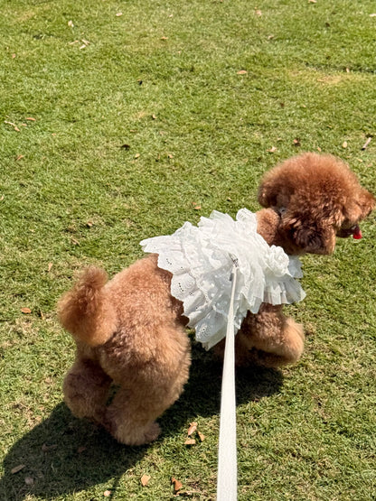 Pure Cancan Harness