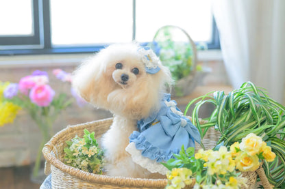 Stretch Denim Camisole Dress