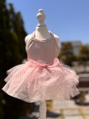 Pink Swan Tutu