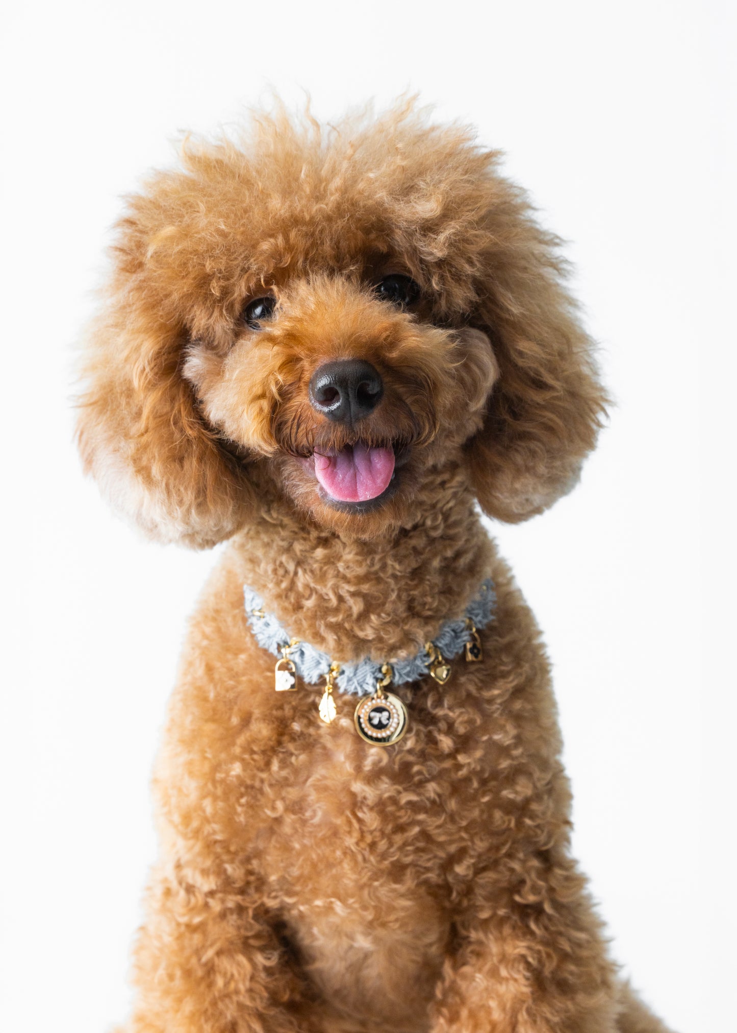 Ribbon Medallion Charm Collar — Dusty Blue