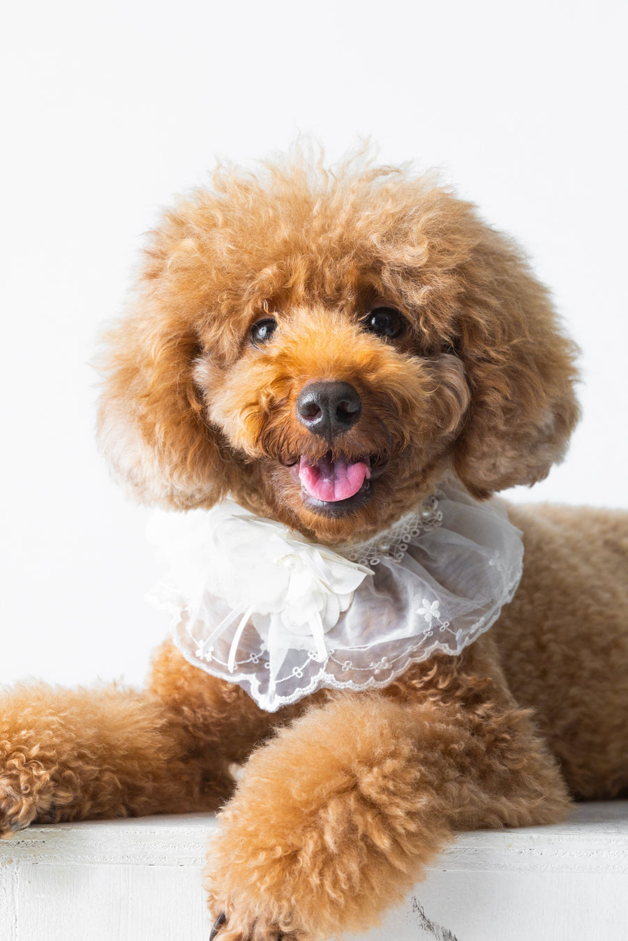 Ivory Lace Ruffle Collar