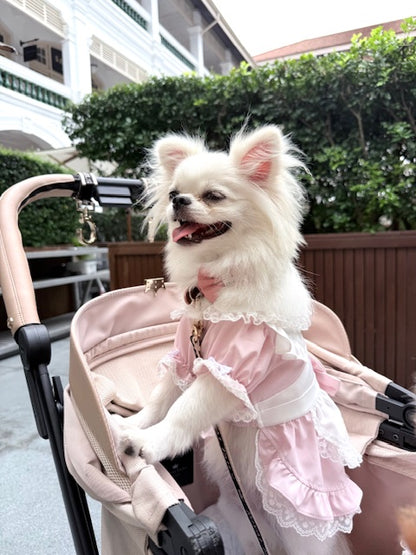 Pink Alice Lace Dress