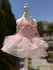 Pink Swan Tutu