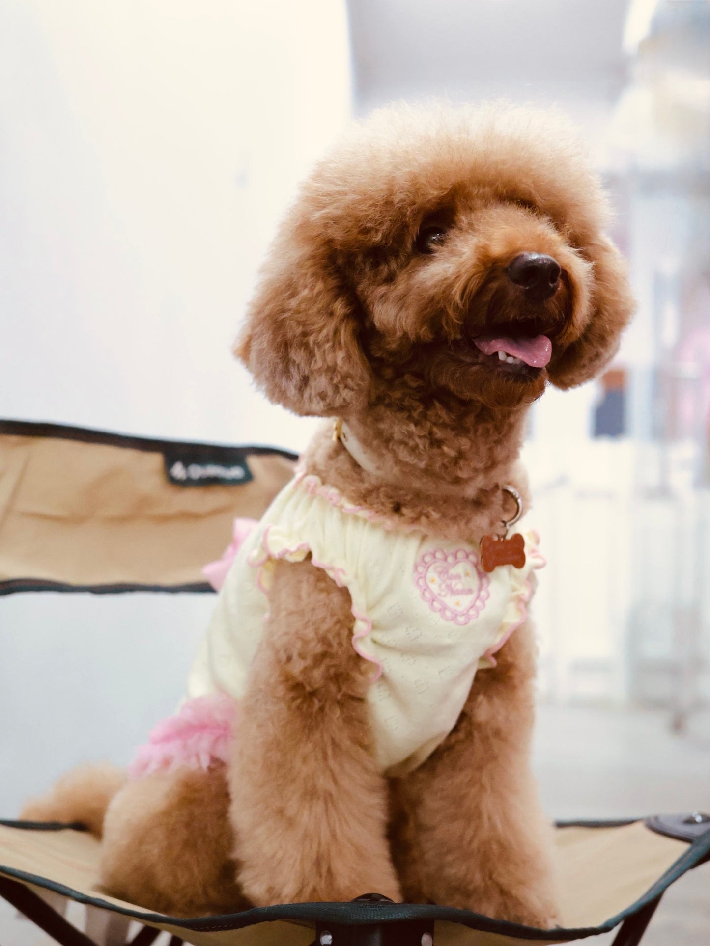 Heart Mesh Frill Cut-and-Sew Dog Dress