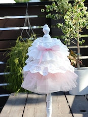Pink Swan Tutu