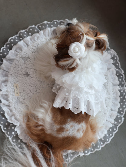 Pure Cancan Harness