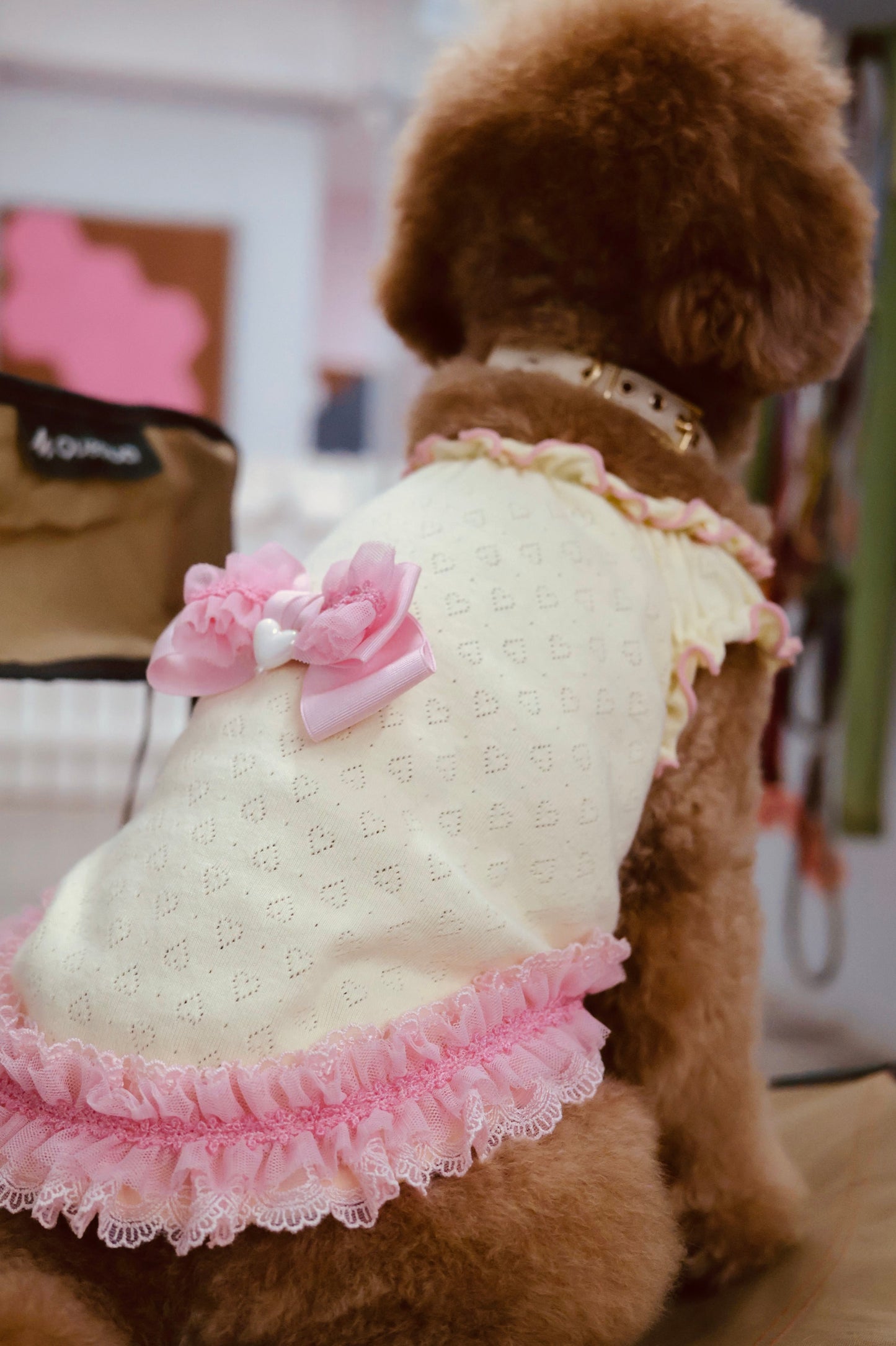 Heart Mesh Frill Cut-and-Sew Dog Dress