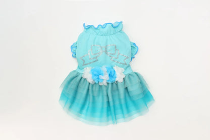 Tulle Ballerina Dress