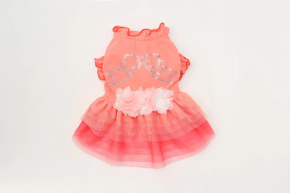 Tulle Ballerina Dress