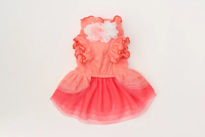 Tulle Ballerina Dress