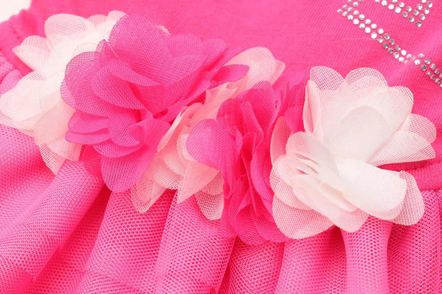 Tulle Ballerina Dress