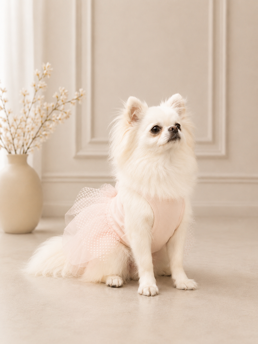 Pink Swan Tutu
