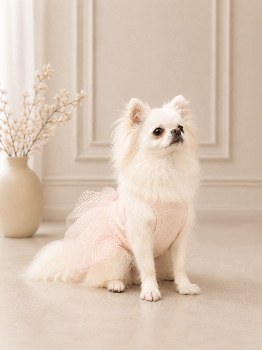 Pink Swan Tutu