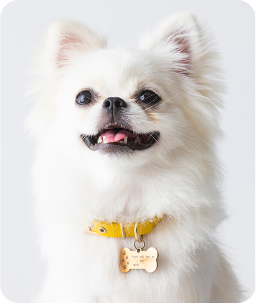 Yuki