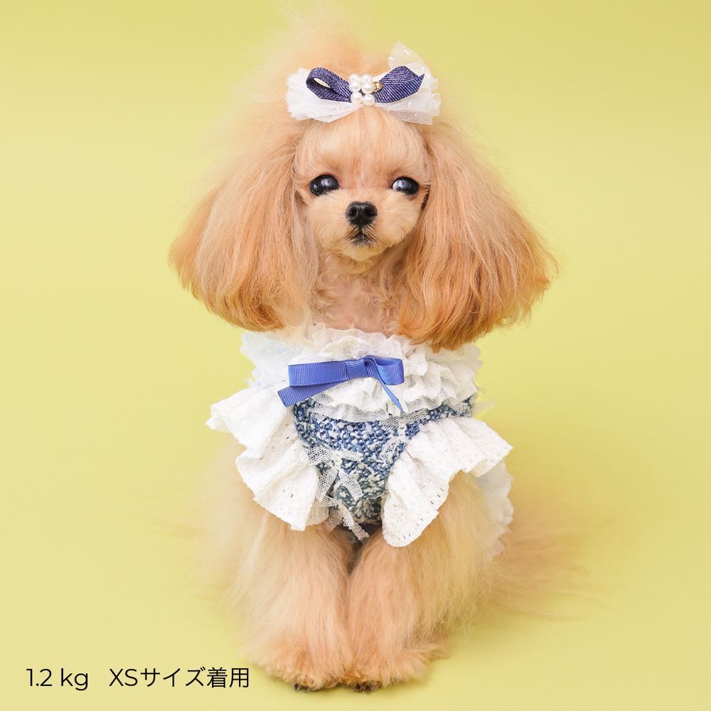 Nocturne Blue — Cool Denim Harness Dress