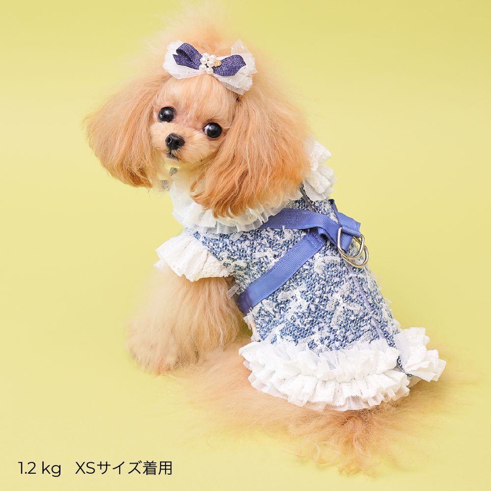 Nocturne Blue — Cool Denim Harness Dress