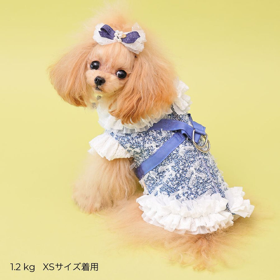 Nocturne Blue — Cool Denim Harness Dress