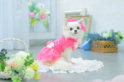 Tulle Ballerina Dress