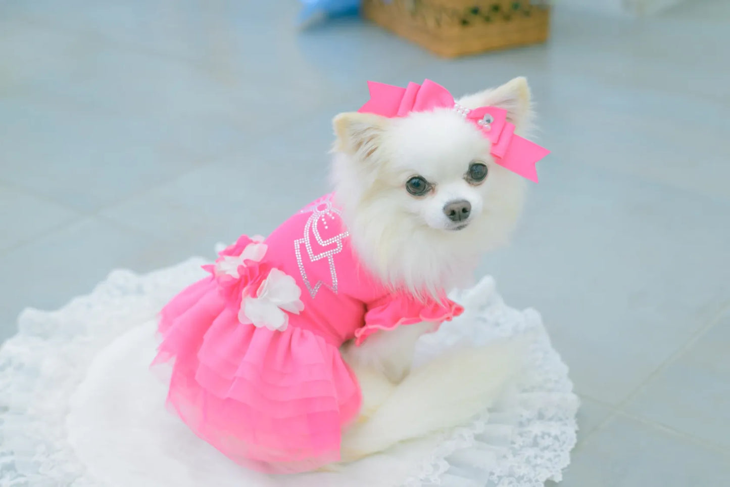 Tulle Ballerina Dress
