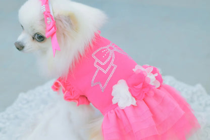 Tulle Ballerina Dress