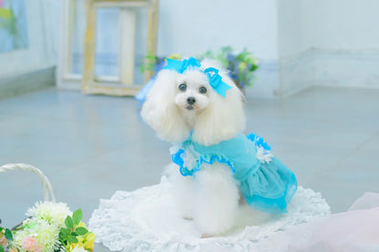 Tulle Ballerina Dress