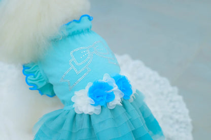 Tulle Ballerina Dress