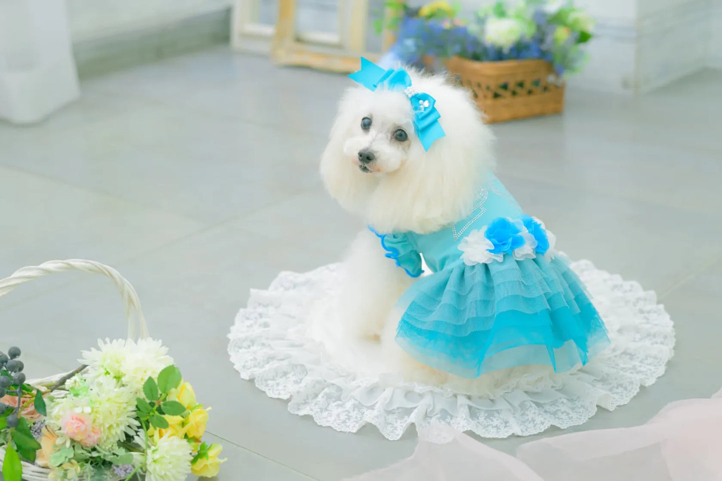 Tulle Ballerina Dress