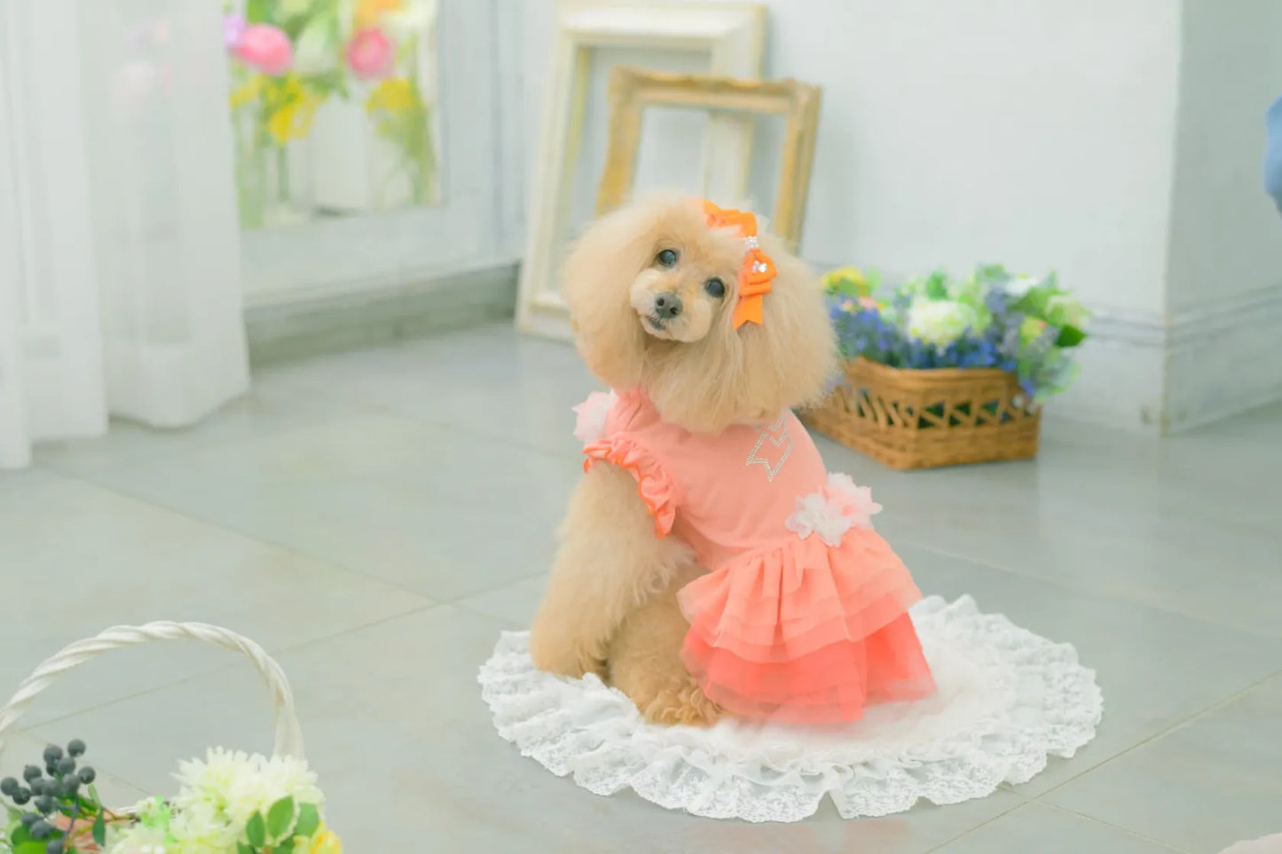 Tulle Ballerina Dress