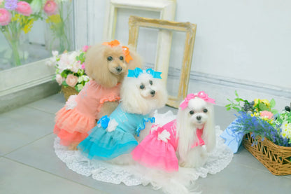Tulle Ballerina Dress