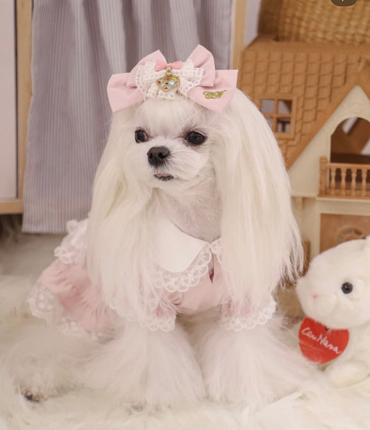 Pink Alice Lace Dress