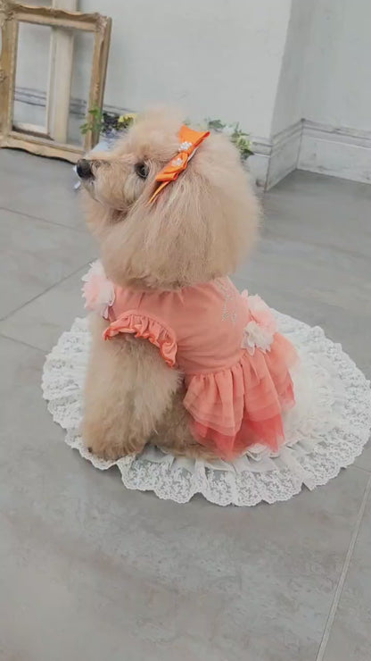 Tulle Ballerina Dress